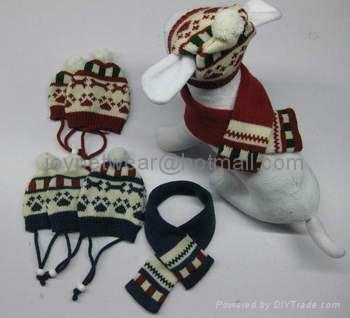 pet scarf and hats