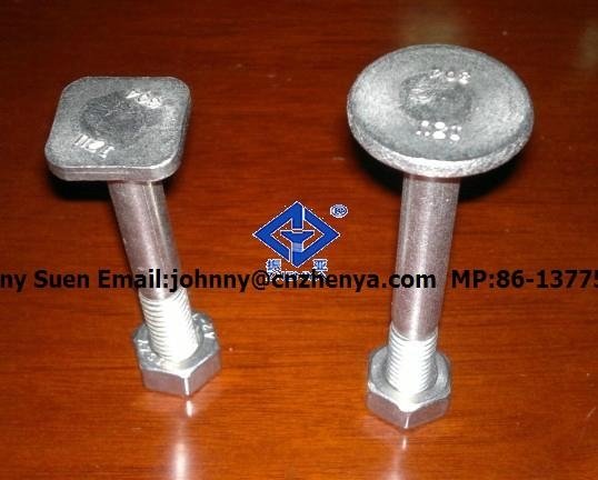 stainless steel A2 A4 T-head bolt 3