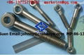 stainless steel eye bolt