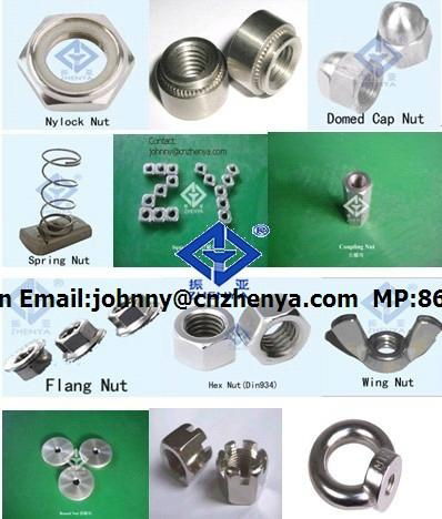 stainless steel kinds of nut