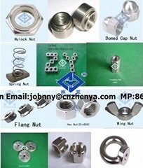 stainless steel kinds of nut