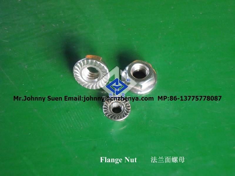 stainless steel kinds of nut 2