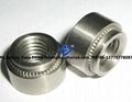stainless steel 304 spring nut 5