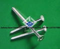 stainless steel self tapping screw