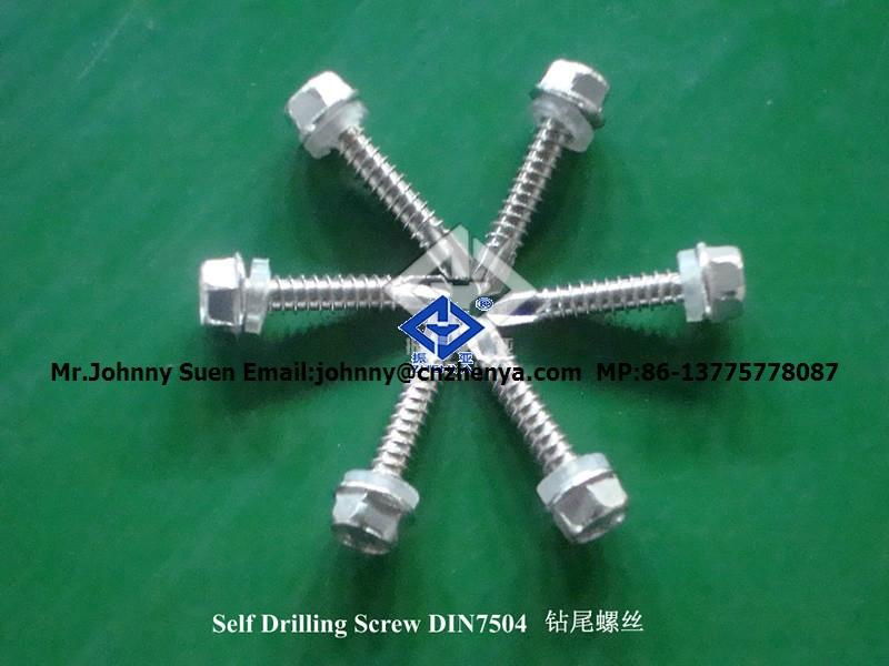 stainless steel self tapping screw 5