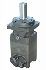 HYDRAULIC MOTOR