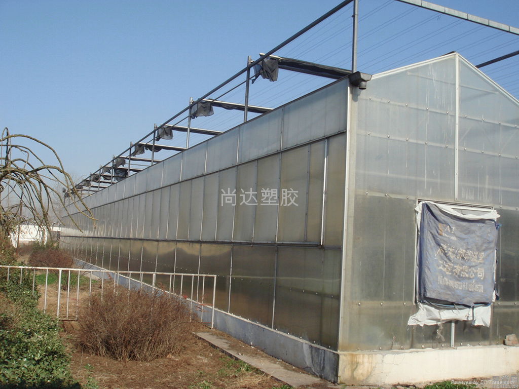 农业温室专用材料pc耐力板  3