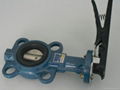 butterfly valve 1