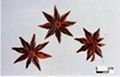 star anise oil