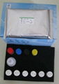 Carbendazim Elisa Test kit 1