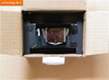 Epson DX5 printhead F187000 gold head  4