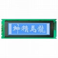 240x64 lcd module,24064 LCD display