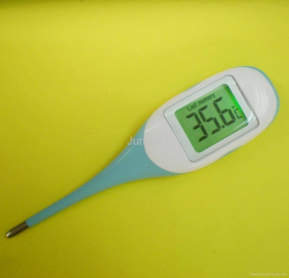 Jumbo digital thermometer  2