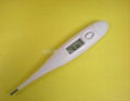 Rigid tip Digital thermometer waterproof