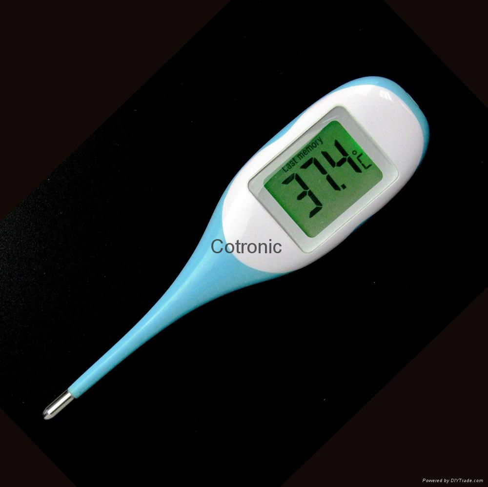 Jumbo digital thermometer 