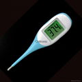 Jumbo digital thermometer  1