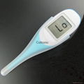 Jumbo digital thermometer  4