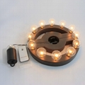  Umbrella Lights-10 inch Battery operated G40 LED Umbrella Light  2