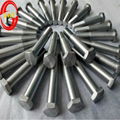 molybdenum screw 2