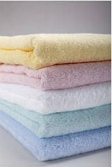 Microfibre Bath Towel 