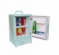 Portable Multifunction electronic cooler & warmer