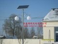 哈爾濱太陽能路燈 5