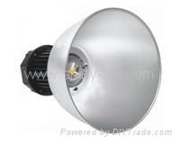 30W LED Industrial Light