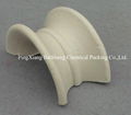 Ceramic Intalox Saddle 1