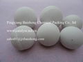 Ceramic Grinding Ball for milling