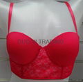 Ladies Bra 1