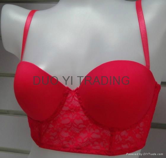 Ladies Bra 2