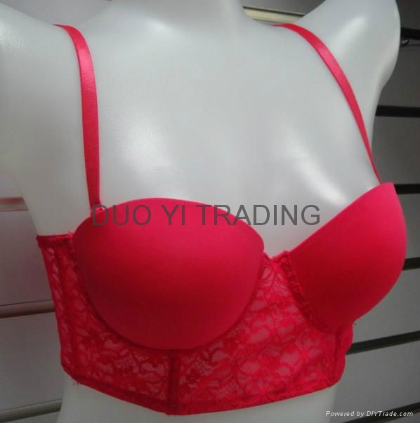 Ladies Bra 3