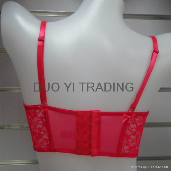 Ladies Bra 4