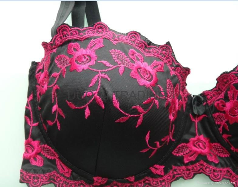 Ladies Bra 3