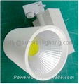 SAA  COB  LED downlight20W 4