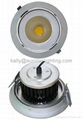 SAA  COB  LED downlight20W 5