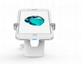 Display Stand  for phones and tablets