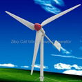 1KW家用風力發電機價格 3