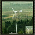 1KW wind power generator  4