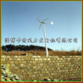 風力發電機2000w小型家用風力發電機價格 4