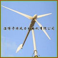 2000W 48V wind generator system  5