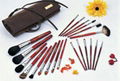 Professional make-up brush set