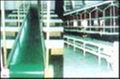 conveyor belt 1