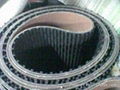  belt 5