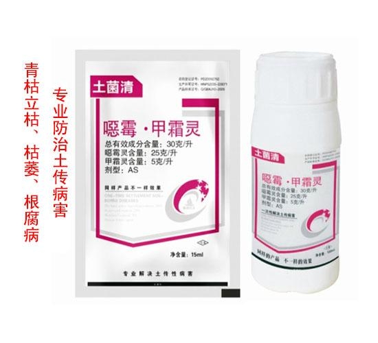 熒光假單胞桿菌 3