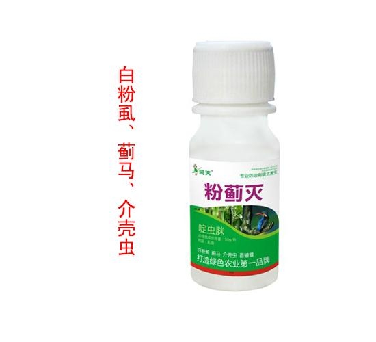 熒光假單胞桿菌 5