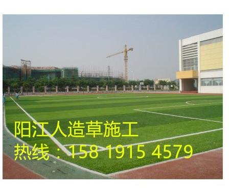 陽江幼儿園人造草價格  足球場人造草價格是多少 2