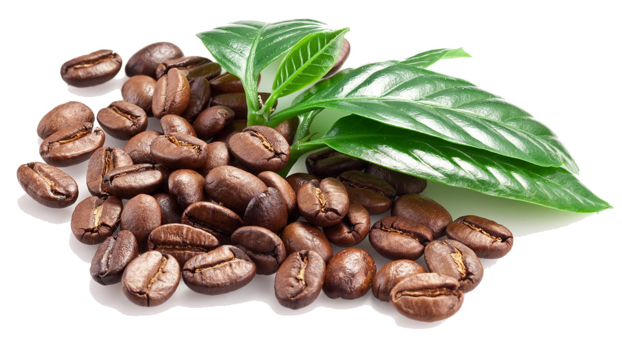 Vietnam Catimor Coffee Beans