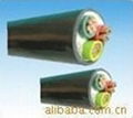 专业生产各种规格的多芯高温电缆 1