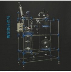 Experimental Apparatus: glass reactor 